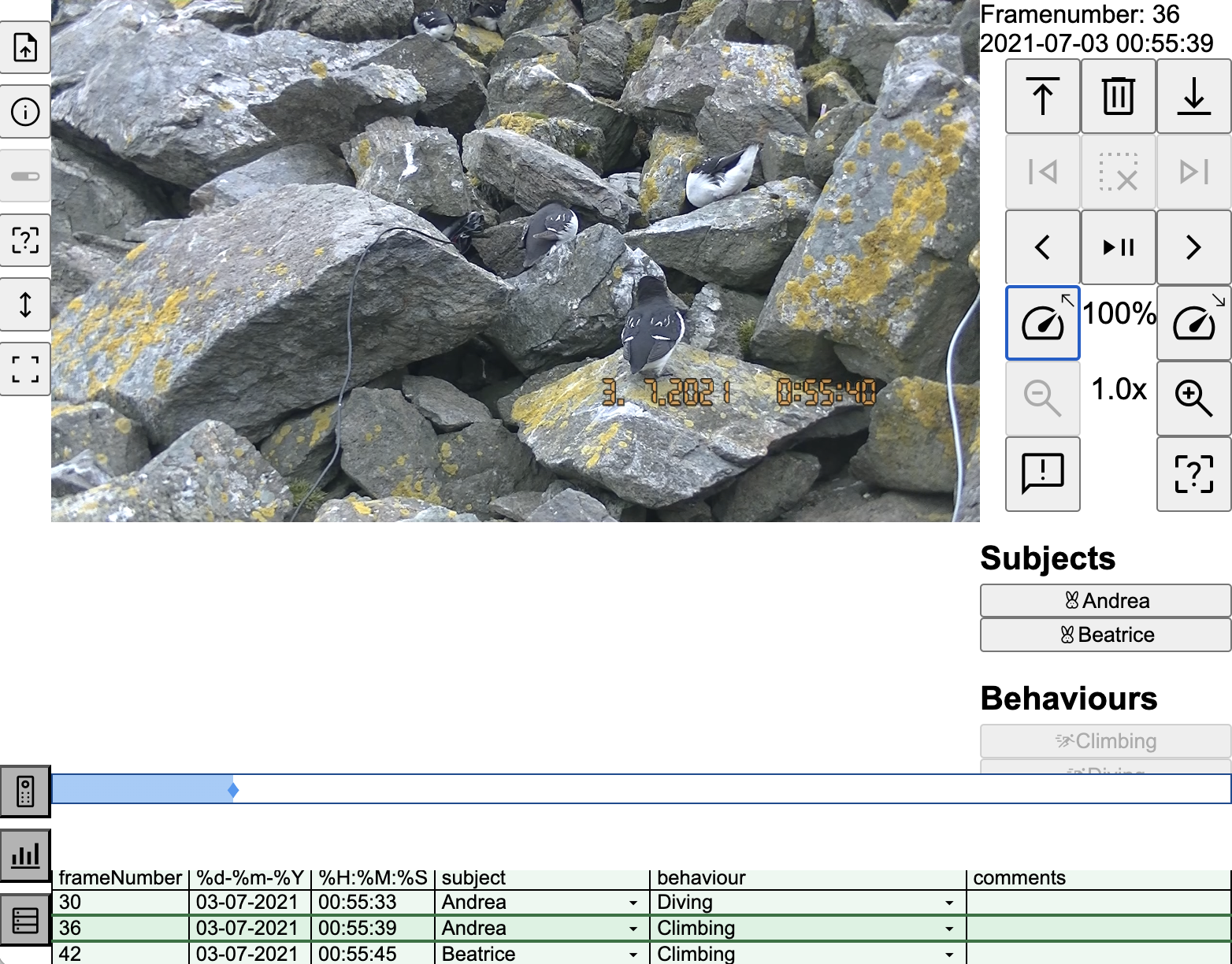 Some lines of recorded behaviour